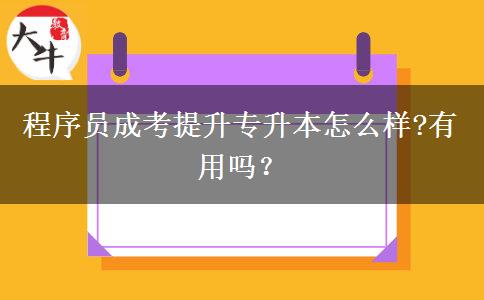 程序員成考提升專升本怎么樣?有用嗎？