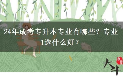 24年成考專升本專業(yè)有哪些？專業(yè)1選什么好？