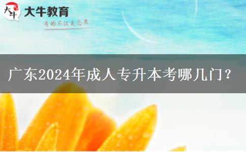 廣東2024年成人專升本考哪幾門？