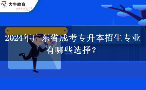 2024年廣東省成考專(zhuān)升本招生專(zhuān)業(yè)有哪些選擇？