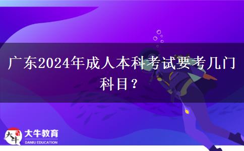 廣東2024年成人本科考試要考幾門科目？