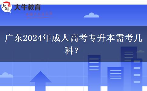 廣東2024年成人高考專升本需考幾科？