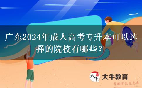 廣東2024年成人高考專升本可以選擇的院校有哪些？