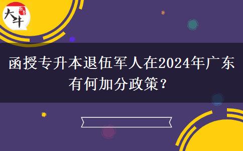 函授專升本退伍軍人在2024年廣東有何加分政策？