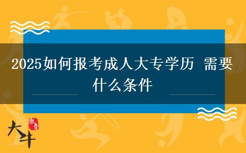 2025如何報(bào)考成人大專學(xué)歷 需要什么條件