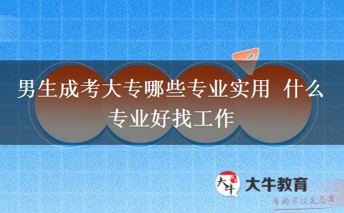 男生成考大專哪些專業(yè)實(shí)用 什么專業(yè)好找工作