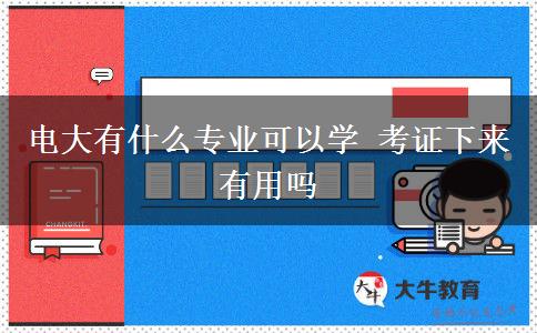 電大有什么專業(yè)可以學(xué) 考證下來有用嗎