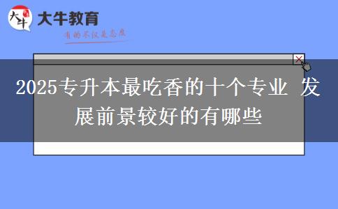 2025專升本最吃香的十個專業(yè) 發(fā)展前景較好的有哪些