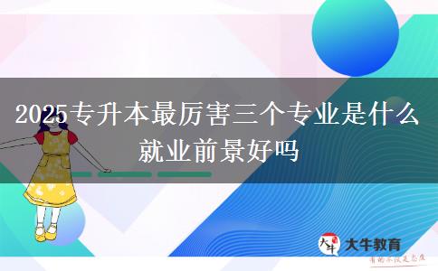 2025專升本最厲害三個(gè)專業(yè)是什么 就業(yè)前景好嗎