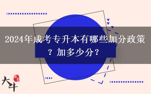 2024年成考專升本有哪些加分政策？加多少分？