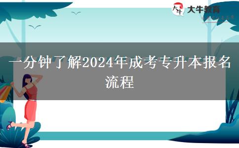 一分鐘了解2024年成考專升本報名流程