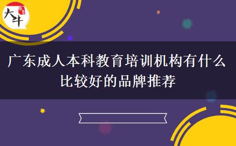 廣東成人本科教育培訓機構有什么比較好的品牌推薦