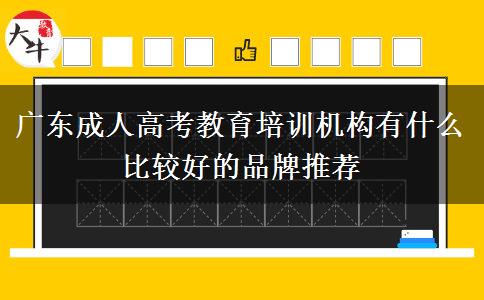 廣東成人高考教育培訓機構有什么比較好的品牌推薦