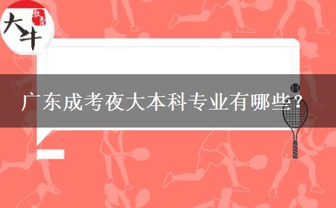 廣東成考夜大本科專業(yè)有哪些？