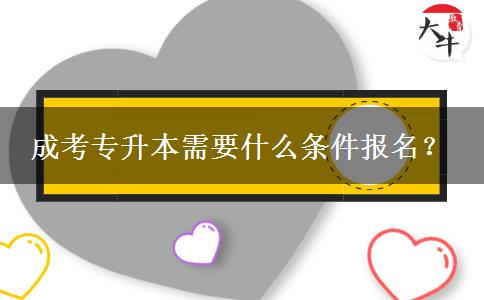 成考專升本需要什么條件報(bào)名？