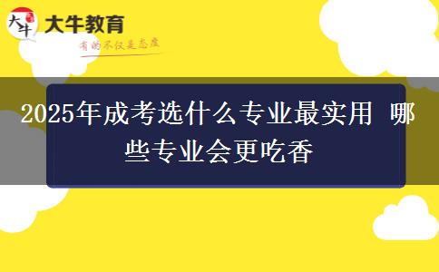 2025年成考選什么專業(yè)最實(shí)用 哪些專業(yè)會(huì)更吃香