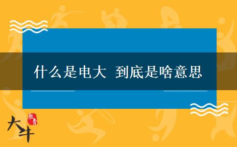 什么是電大 到底是啥意思