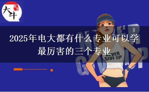 2025年電大都有什么專業(yè)可以學(xué) 最厲害的三個(gè)專業(yè)