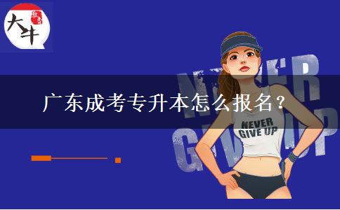 廣東成考專升本怎么報(bào)名？