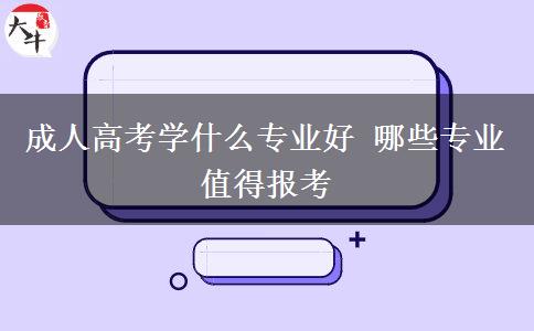 成人高考學(xué)什么專業(yè)好 哪些專業(yè)值得報考