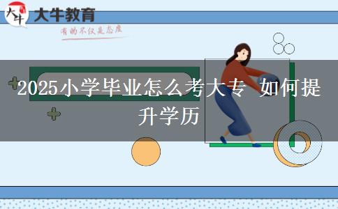 2025小學畢業(yè)怎么考大專 如何提升學歷