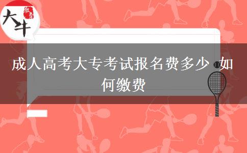 成人高考大?？荚噲竺M多少 如何繳費