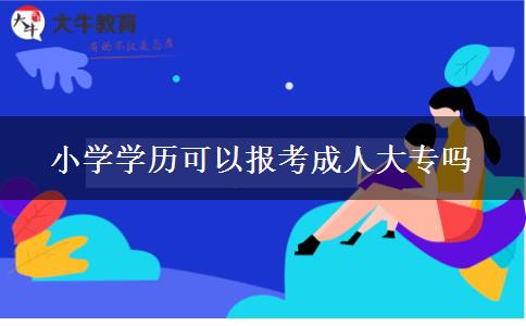 小學學歷可以報考成人大專嗎