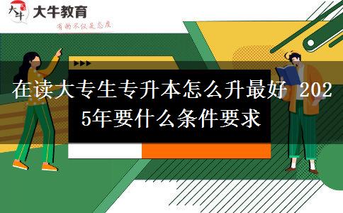 在讀大專生專升本怎么升最好 2025年要什么條件要求