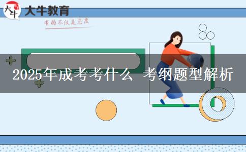 2025年成考考什么 考綱題型解析