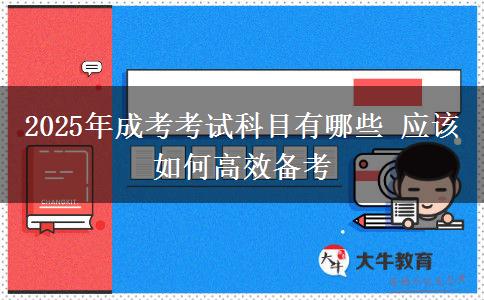 2025年成考考試科目有哪些 應該如何高效備考