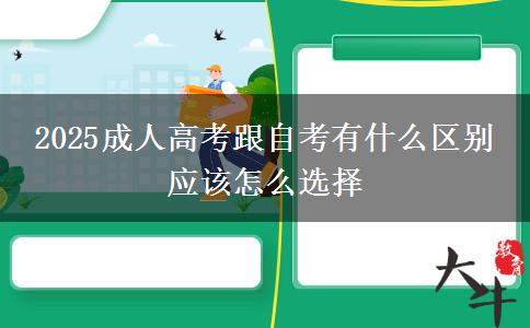 2025成人高考跟自考有什么區(qū)別 應(yīng)該怎么選擇