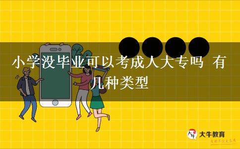 小學(xué)沒畢業(yè)可以考成人大專嗎 有幾種類型