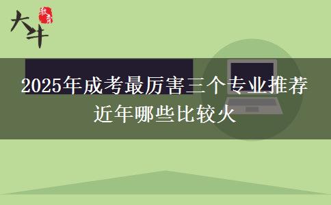 2025年成考最厲害三個(gè)專業(yè)推薦 近年哪些比較火