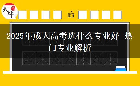 2025年成人高考選什么專業(yè)好 熱門(mén)專業(yè)解析