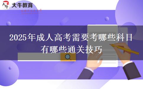 2025年成人高考需要考哪些科目 有哪些通關技巧
