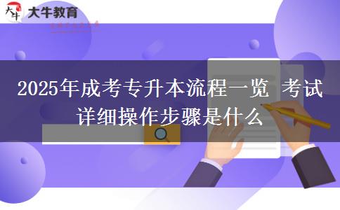 2025年成考專升本流程一覽 考試詳細(xì)操作步驟是什么