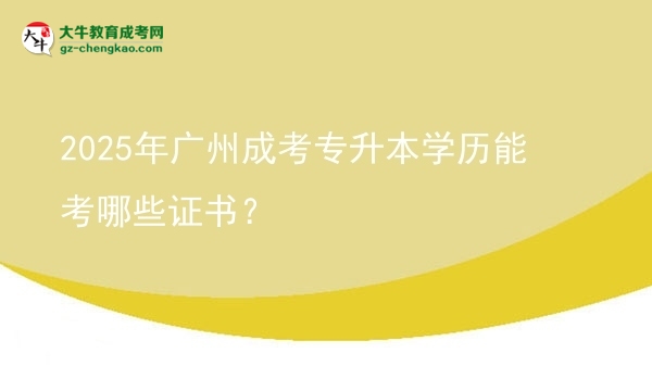 2025年廣州成考專升本學(xué)歷能考哪些證書？圖片