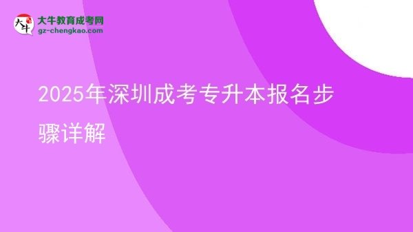 2025年深圳成考專升本報名步驟詳解圖片