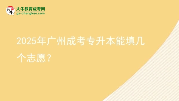 2025年廣州成考專升本能填幾個志愿？圖片