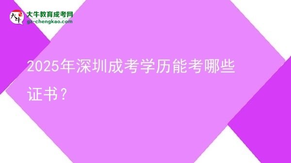2025年深圳成考學(xué)歷能考哪些證書(shū)？圖片