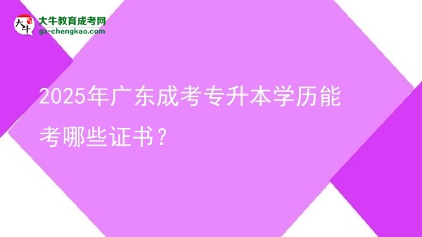 2025年廣東成考專升本學(xué)歷能考哪些證書？圖片